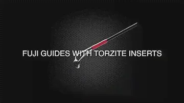 Favorite Impulse TZ